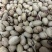 碧根果大量现货产地直发品质保证价格漂亮一手货源充足