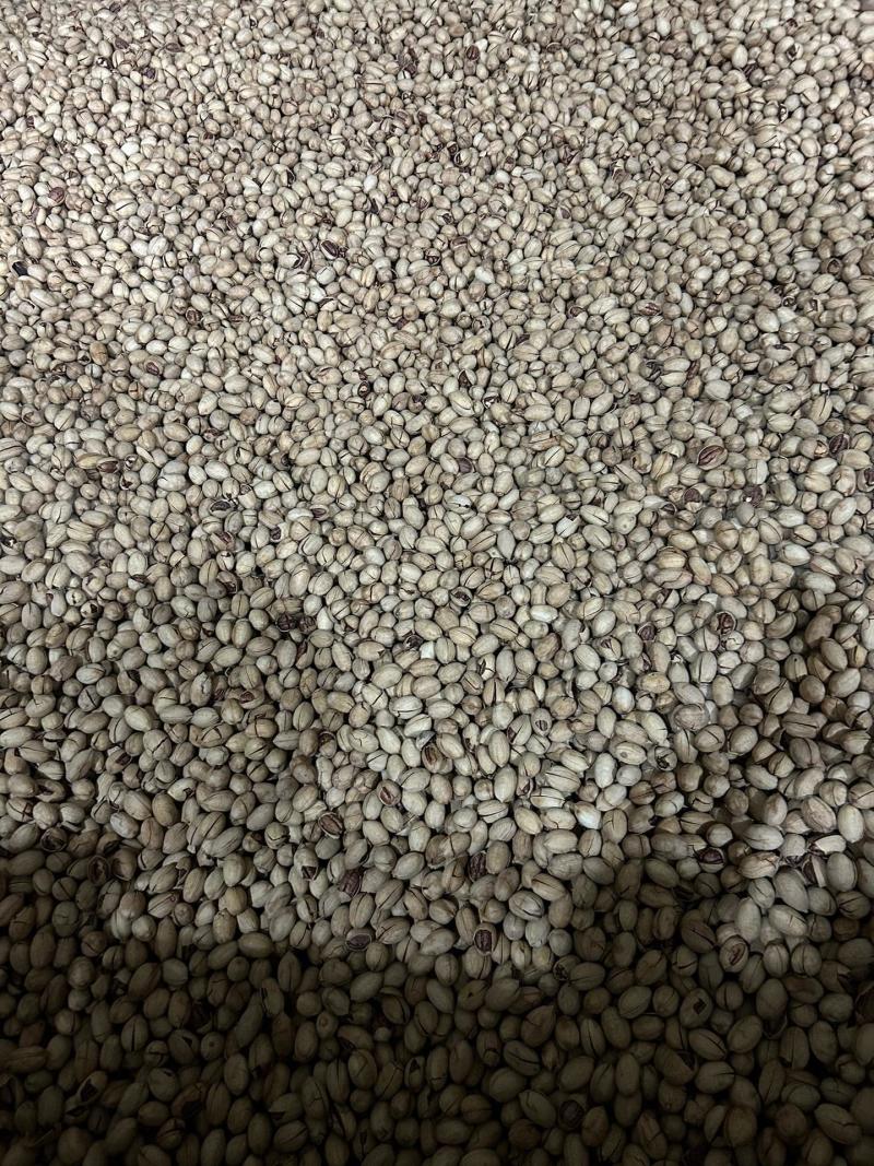 碧根果大量现货产地直发品质保证价格漂亮一手货源充足