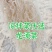 山东滕州产地批发质量保证一手货源量大优惠凉拌菜