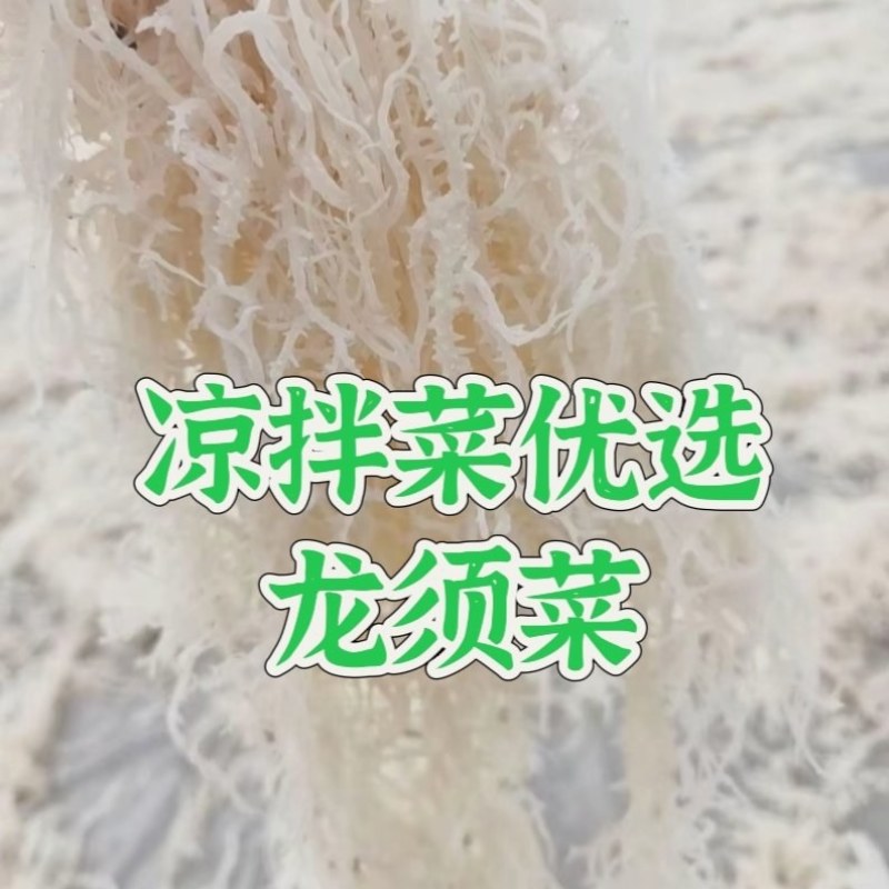 山东滕州产地批发质量保证一手货源量大优惠凉拌菜