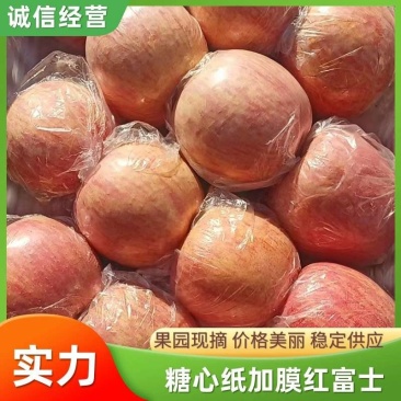山西纸加膜红富士苹果/个大色正/口感脆甜/产地直发