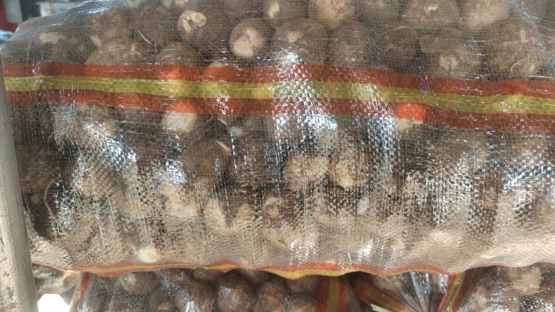 精品毛芋头一手货源产地直发量大从优质量保证欢迎咨询