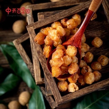 海南储良龙眼果干