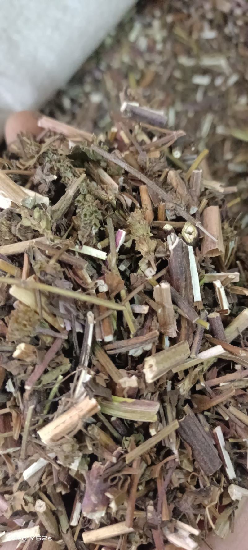 荆芥各种中药材大全需要的放心下单