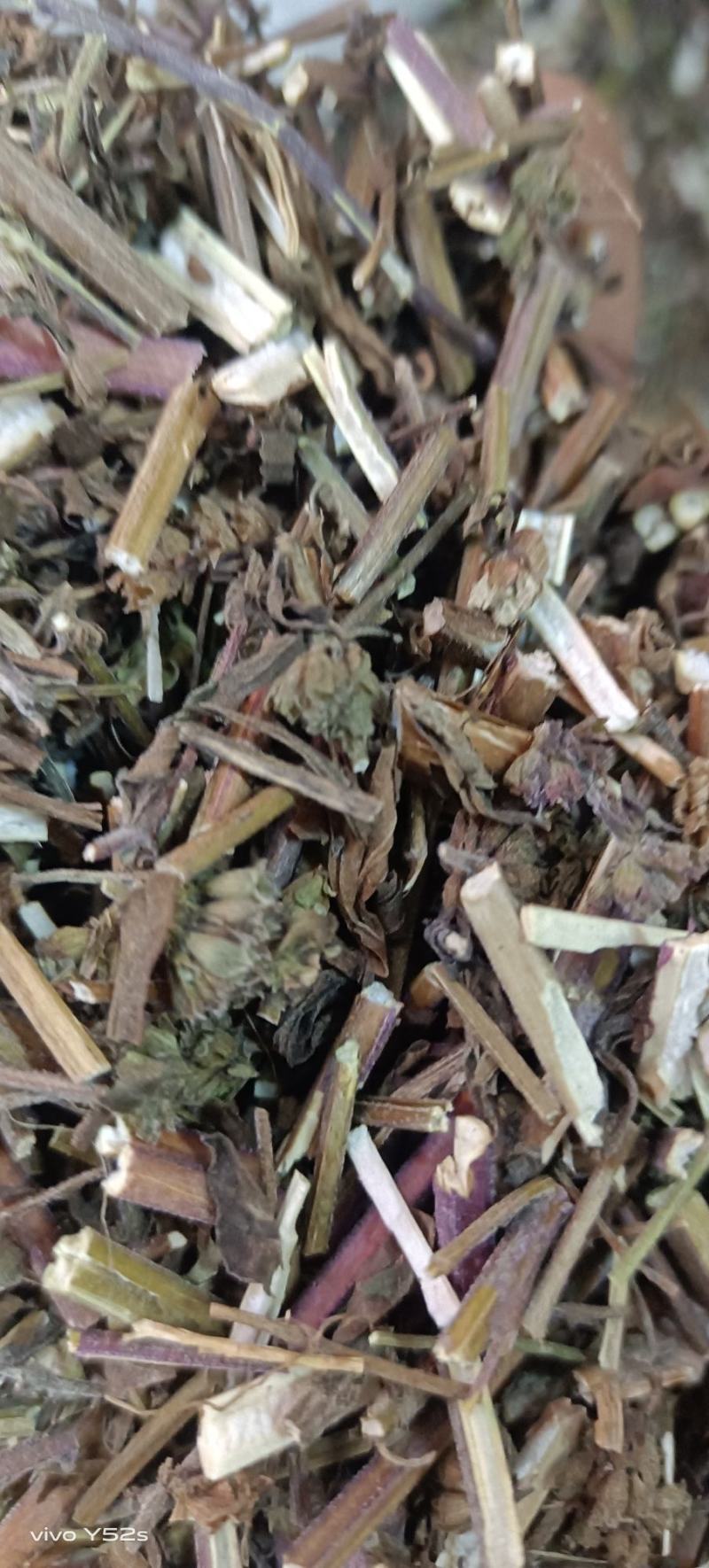荆芥各种中药材大全需要的放心下单