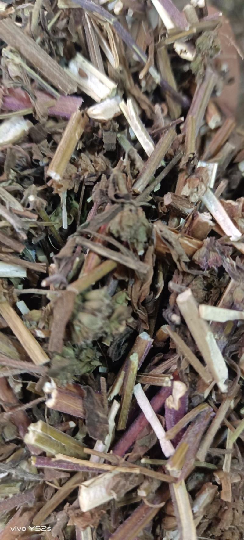 荆芥各种中药材大全需要的放心下单