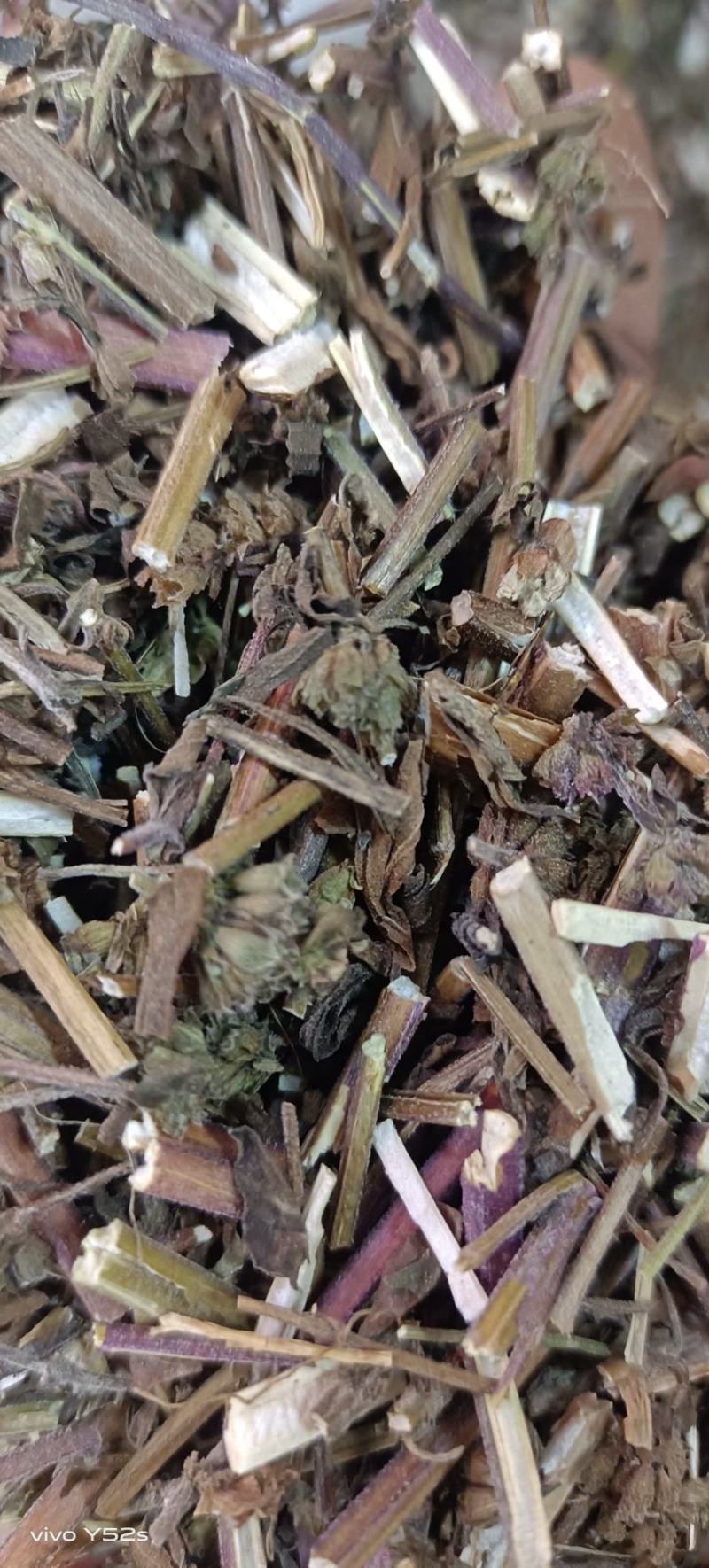 荆芥各种中药材大全需要的放心下单
