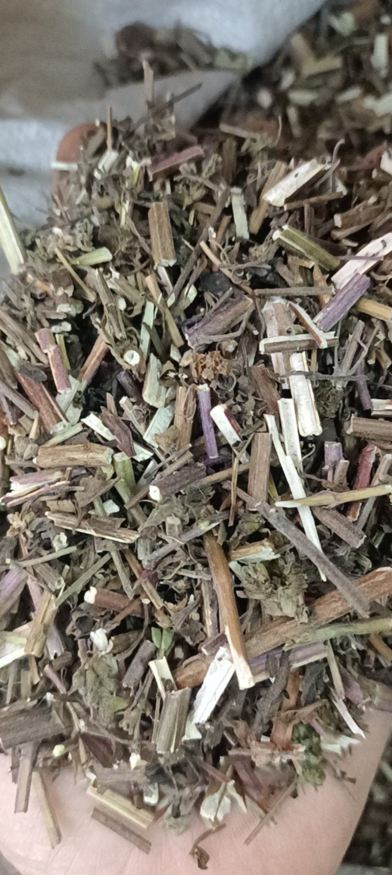 荆芥各种中药材大全需要的放心下单