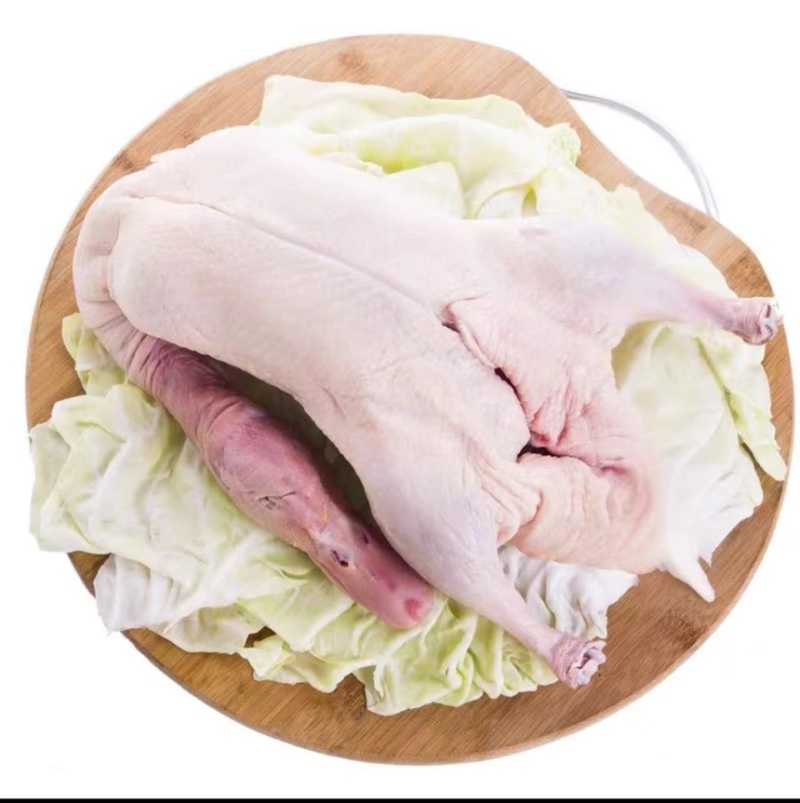 白条鸭冷冻鸭，什么规格都有，欢迎各位老板咨询