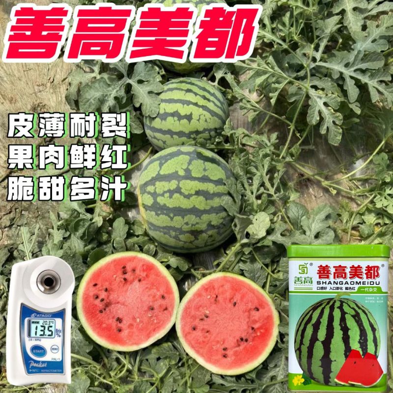 正品美都西瓜种子红瓤耐裂超甜大果西瓜薄皮耐裂抗病美都西瓜