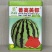 正品美都西瓜种子红瓤耐裂超甜大果西瓜薄皮耐裂抗病美都西瓜
