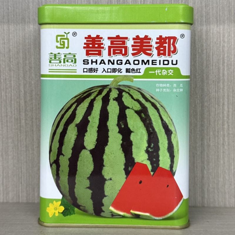 正品美都西瓜种子红瓤耐裂超甜大果西瓜薄皮耐裂抗病美都西瓜