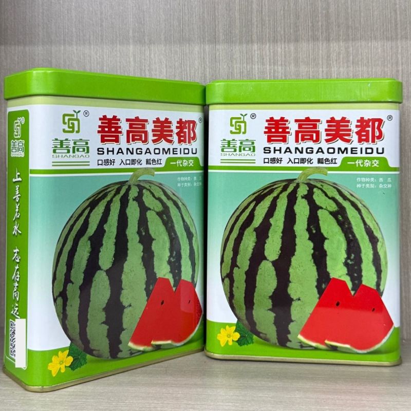 正品美都西瓜种子红瓤耐裂超甜大果西瓜薄皮耐裂抗病美都西瓜