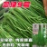 翠绿9号豇豆种子长豆角厚肉中早熟豆角种籽高产抗病无鼠尾不