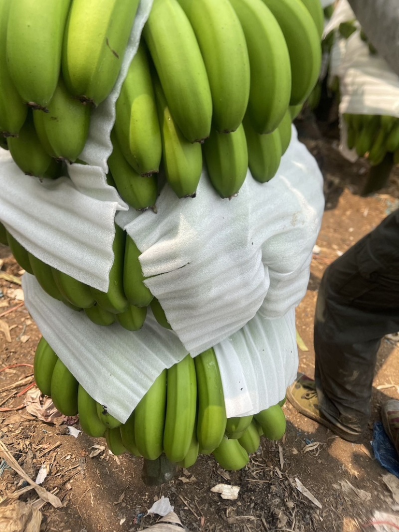 大量有货有需要的采购商欢迎咨询不接电话就留言回头我找你