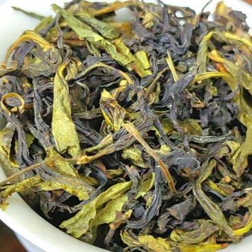 高山茶潮汕黄旦茶浓香型清香乌龙茶惠来土山茶大坪高山土山茶