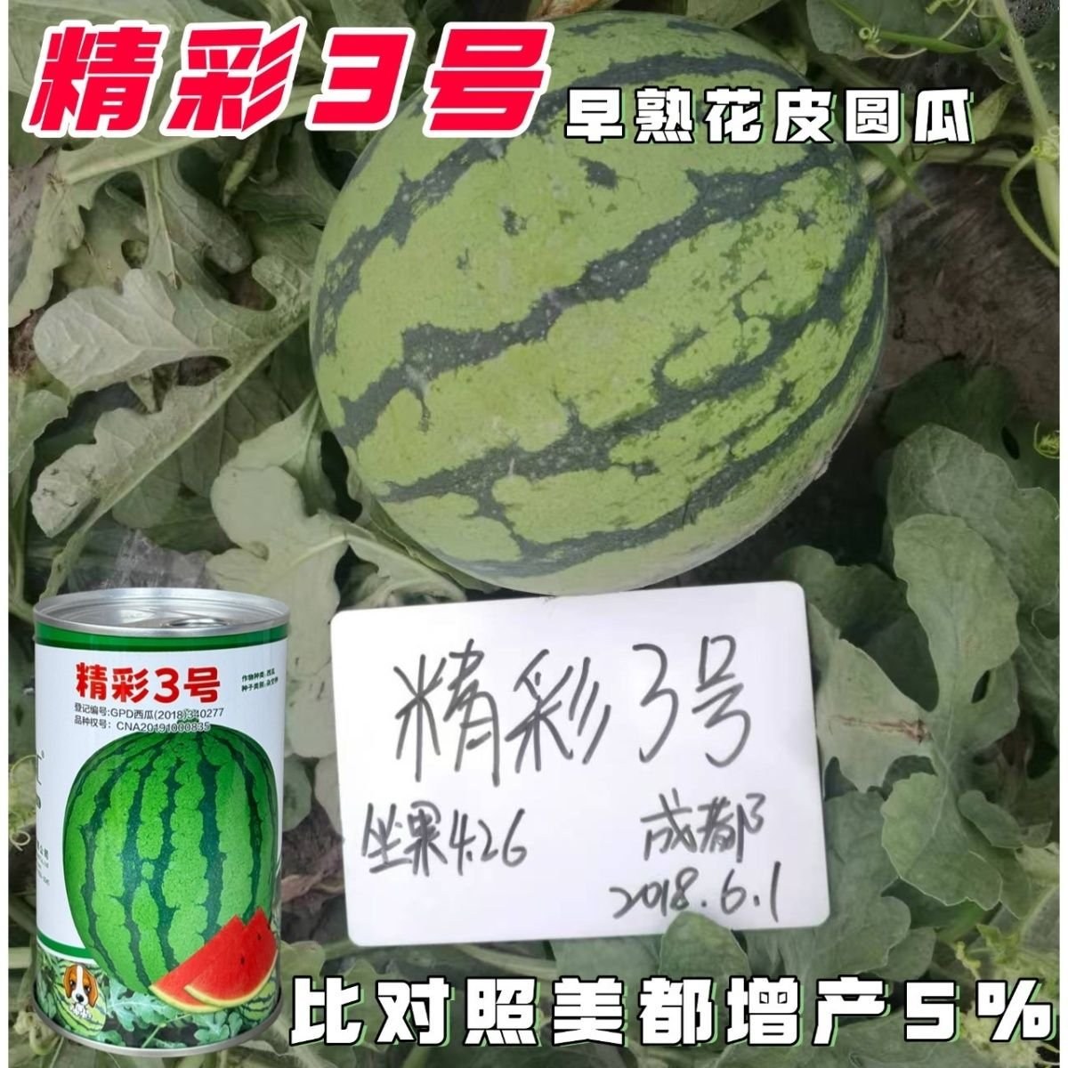 [美都西瓜种子批发]江苏宿迁沭阳县西瓜种子 190.00元/件海 _ 一亩田