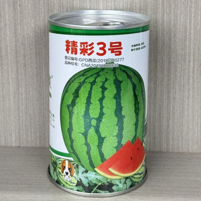 海迈国际精彩3号西瓜种子早熟花皮圆果超甜美都西瓜种子正品