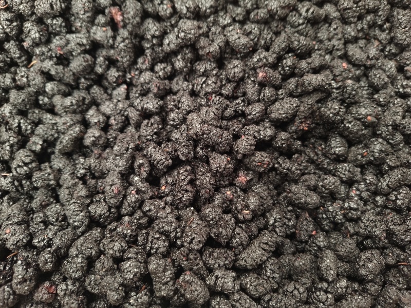 桑椹新货可食品级黑桑椹无硫***自然晾晒大货批发零售