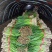 莱州紫根韭菜陆续上市