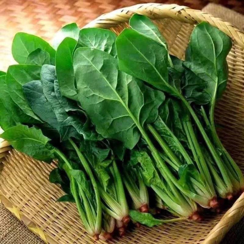 菠菜