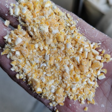 糕面原料糯玉米碎去皮去胚芽