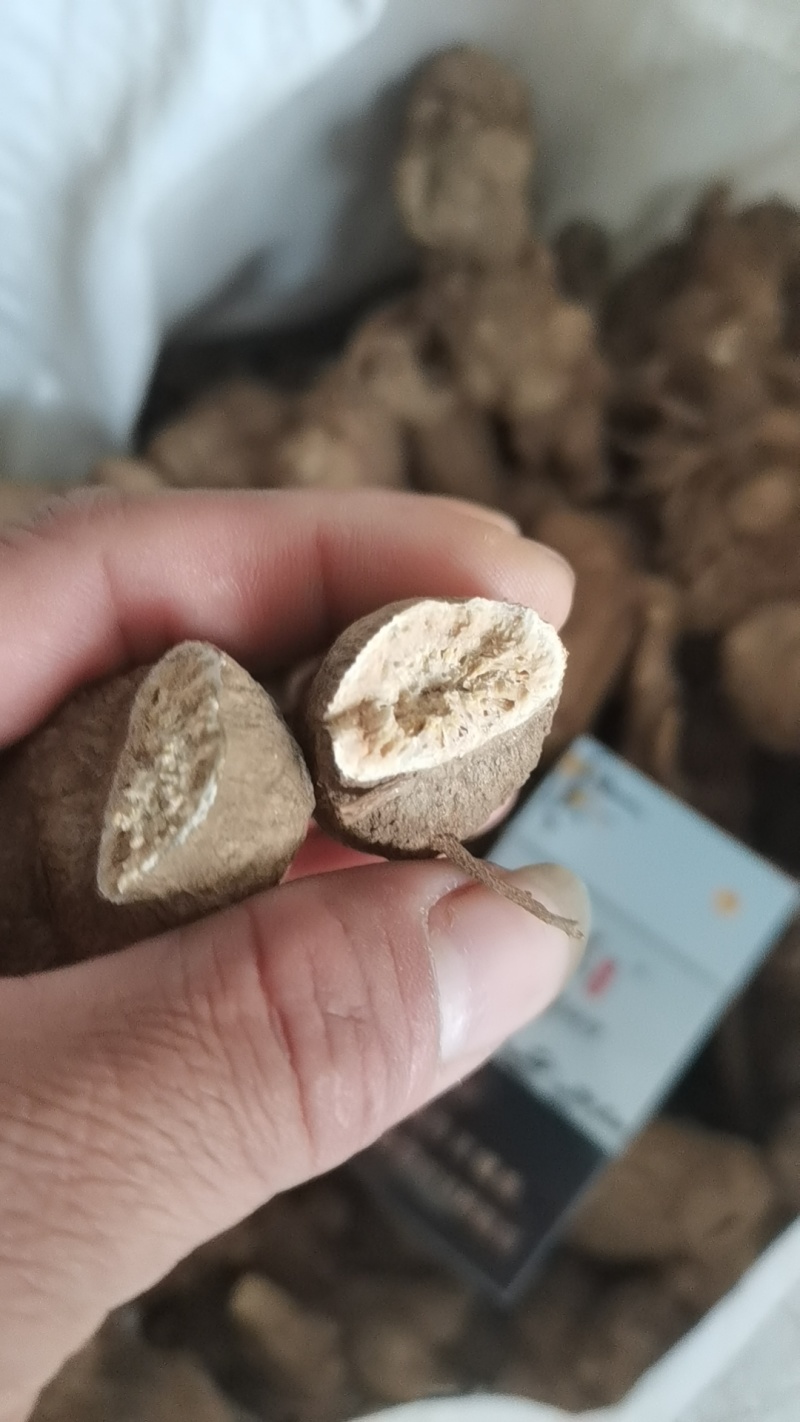 正宗平江白术传统炕货保证无硫/