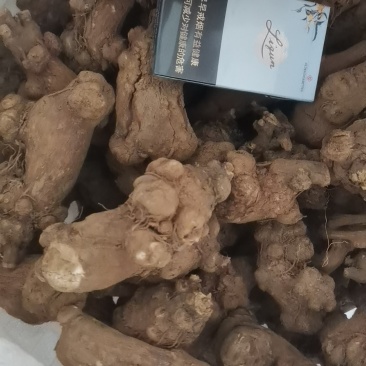 正宗平江白术传统炕货保证无硫/