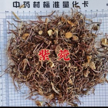 紫菀干货干净整洁头茬地，有检验报告
