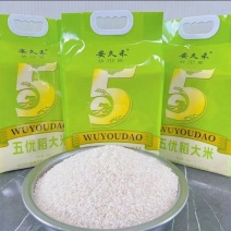 黑龙江省铁力市大米稻花香大米/本地农场种植