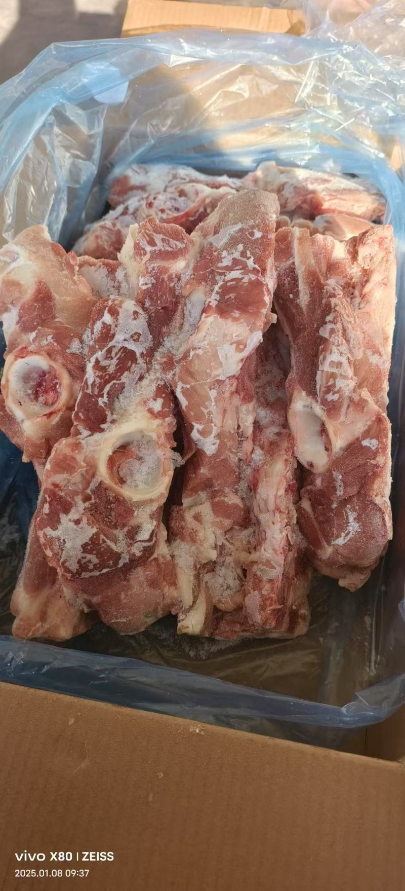 肥猪尾叉骨
