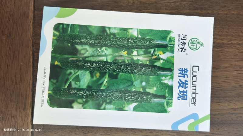 露地耐热黄瓜种子春夏秋露地瓜条黑油亮
