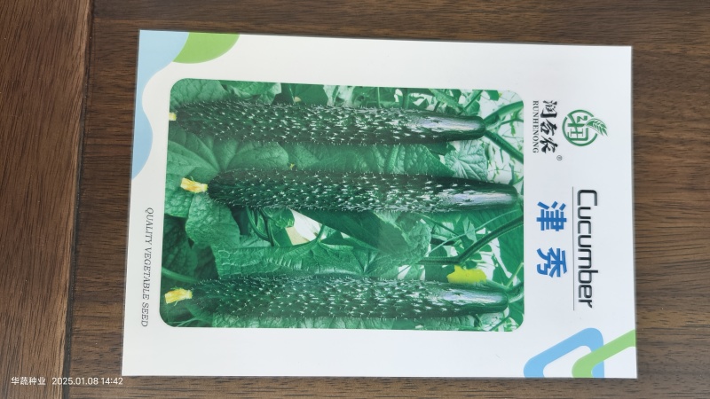 早春大棚黄瓜种子油量瓜码密瓤绿瓜条顺直