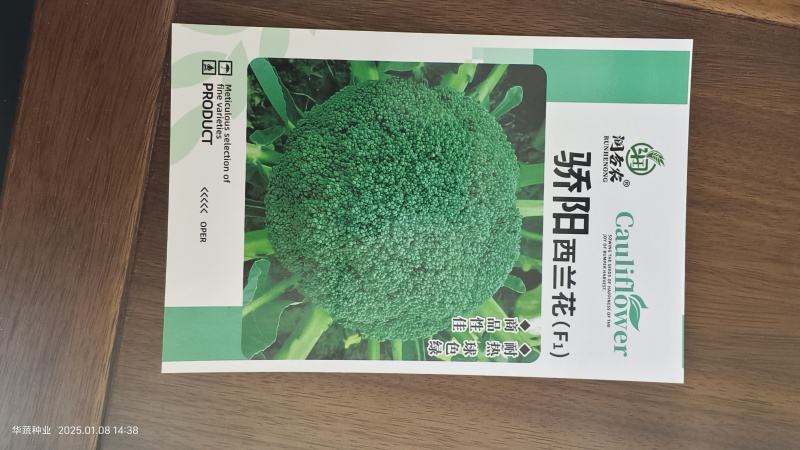 西兰花种子耐热西兰花种子
