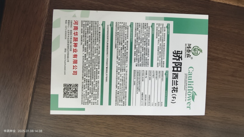 西兰花种子耐热西兰花种子