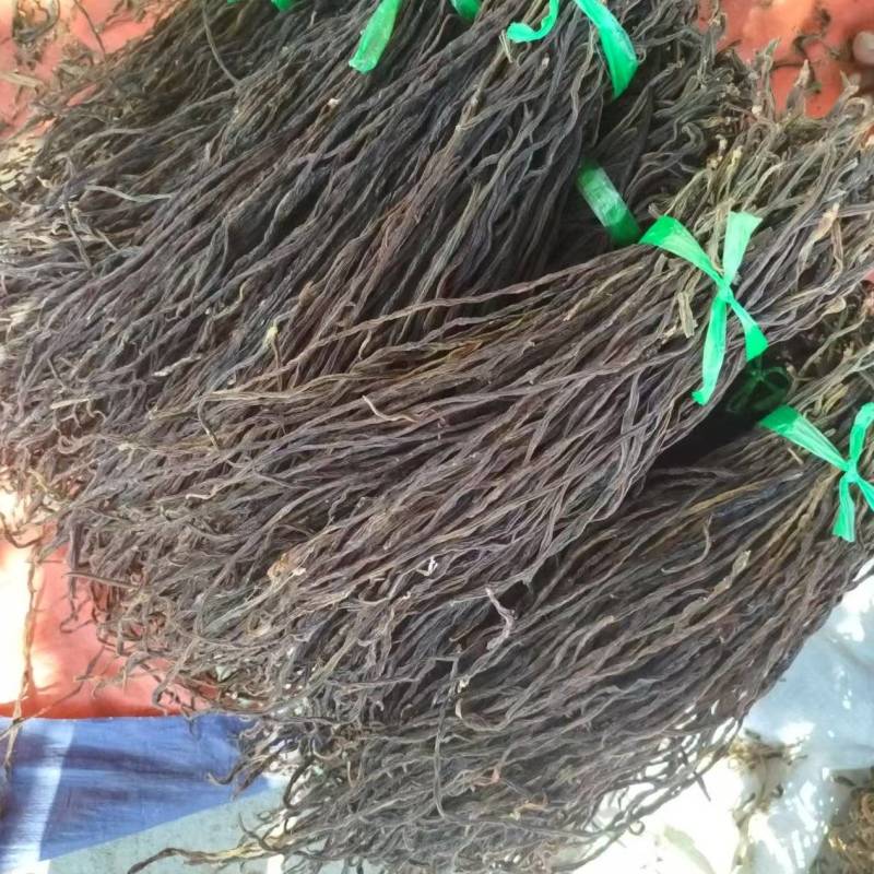 干豆角保质保量供货价钱实惠可以视频看货
