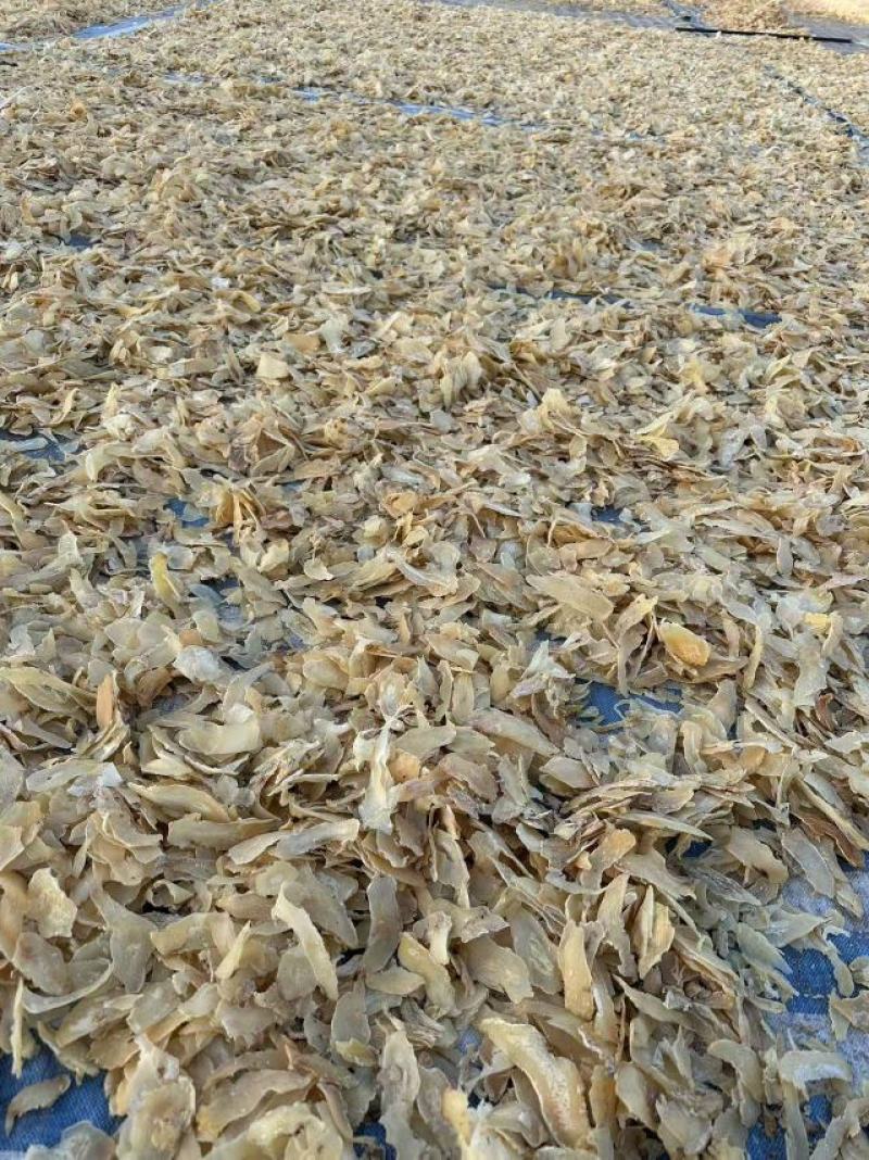 【量大优惠】安徽芭蕉芋干片品质保障产地直供可视频看货