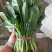 江苏通州菠菜小叶菠菜基地直供量大从优实力代发全国