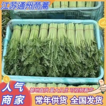 【推荐茼蒿】江苏小叶茼蒿茼蒿杆大量供应常年有货联系