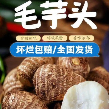 精品毛芋头电商社区团购货源通货小球/中球/大球坏烂包赔