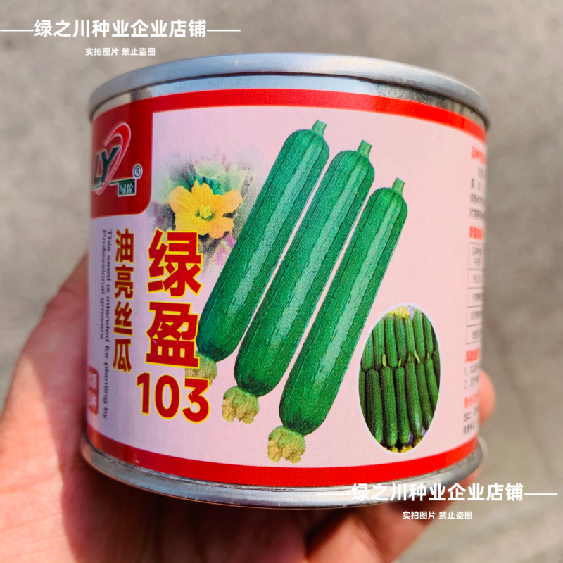 绿盈103短棒香丝瓜种子油皮抗病高产油亮丝瓜种子绿玲珑