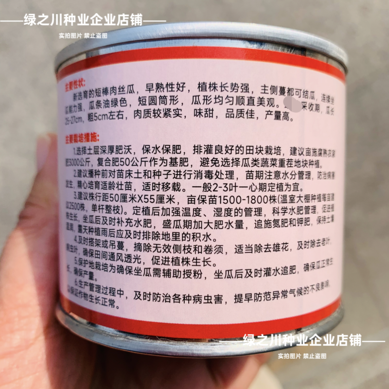 绿盈103短棒香丝瓜种子油皮抗病高产油亮丝瓜种子绿玲珑