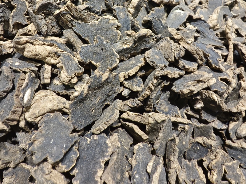 玄参片新货玄参过筛无杂质黑参色泽好含量符合药典圆片道地