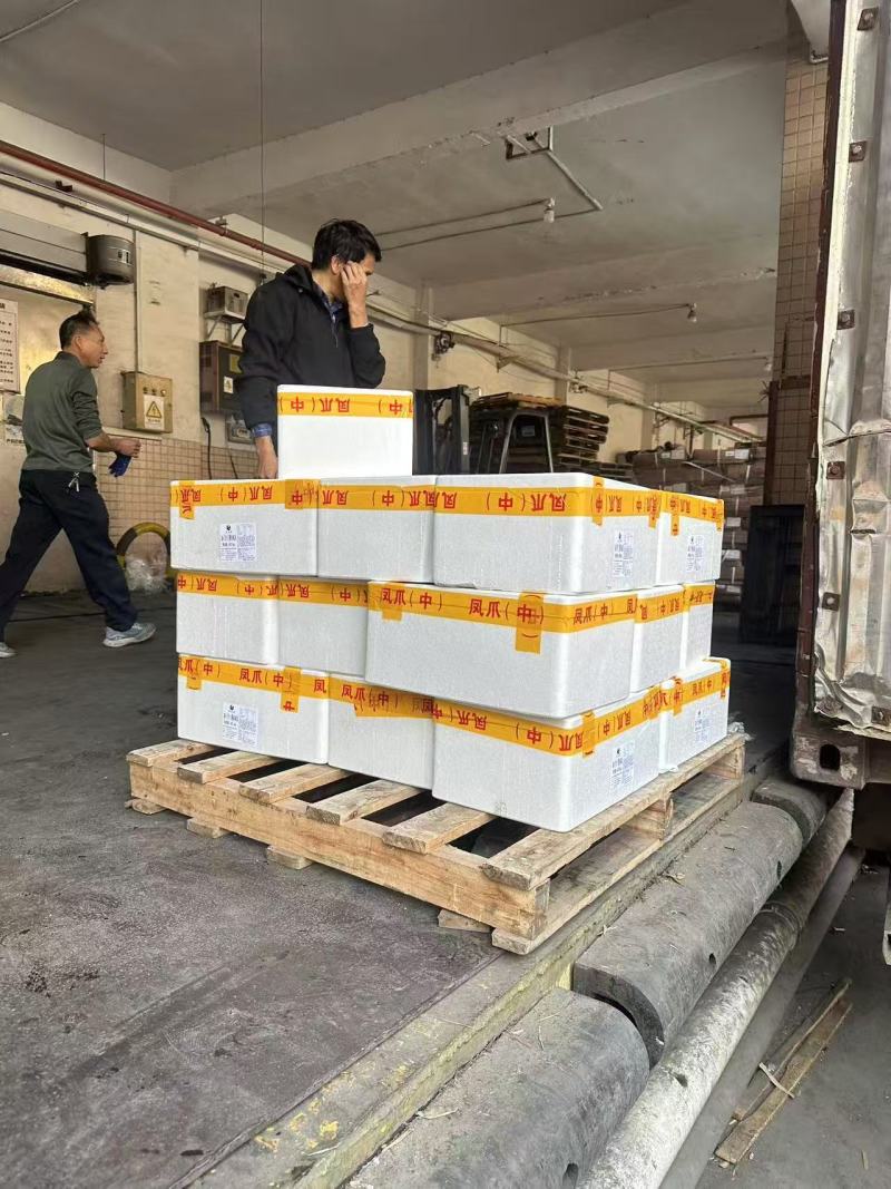 【熟食鸡爪】商用虎皮凤爪酱凤爪广式港式豉汁蒸凤爪盐焗鸡爪