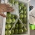 贵妃牛奶枣的品种起源于台湾，多年前引入福建漳州云霄种植