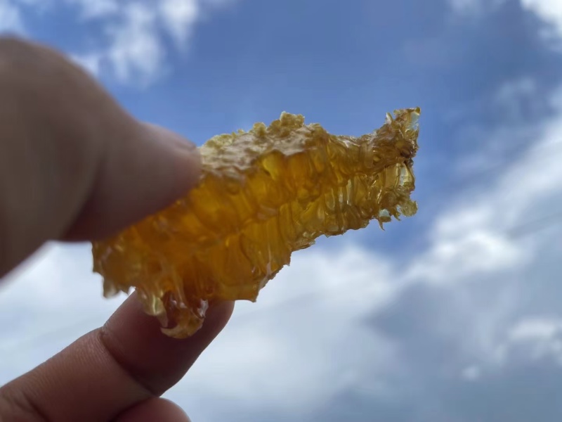 西双版纳高山峰蜜