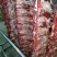 国产纯干肋条肉,不带牛腩,冰鲜排酸纯干货。