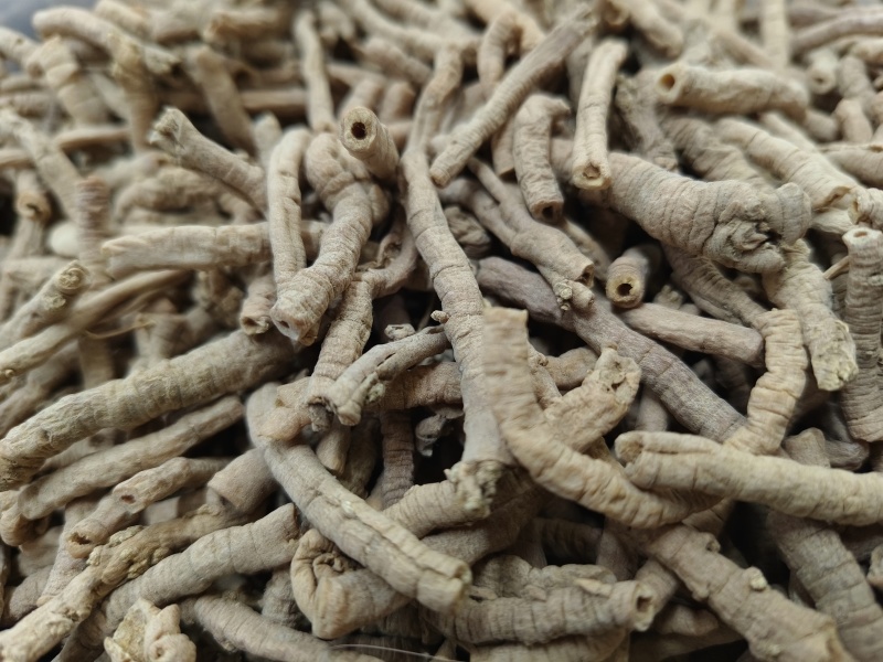 远志新货远志无硫***各种规格大货批发零售