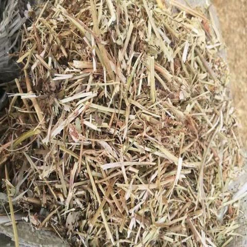 【精选】牛羊马驴饲料厂家直销一手货源保质保量
