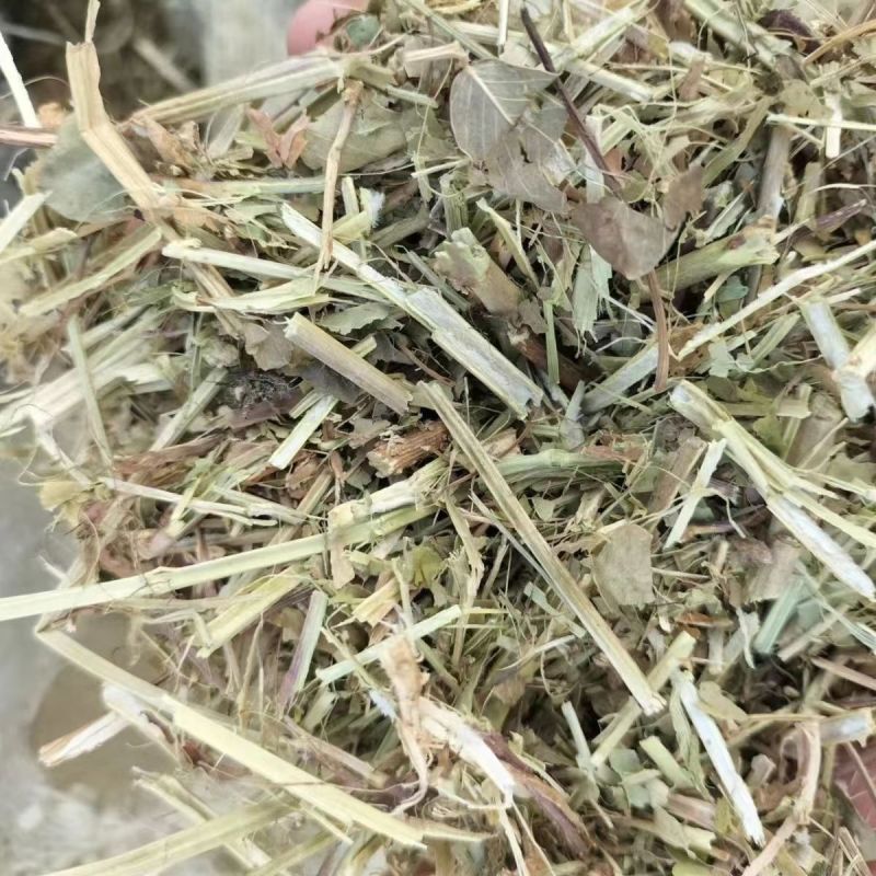 【常年供应】质优价廉品质保证视频看货规格齐全